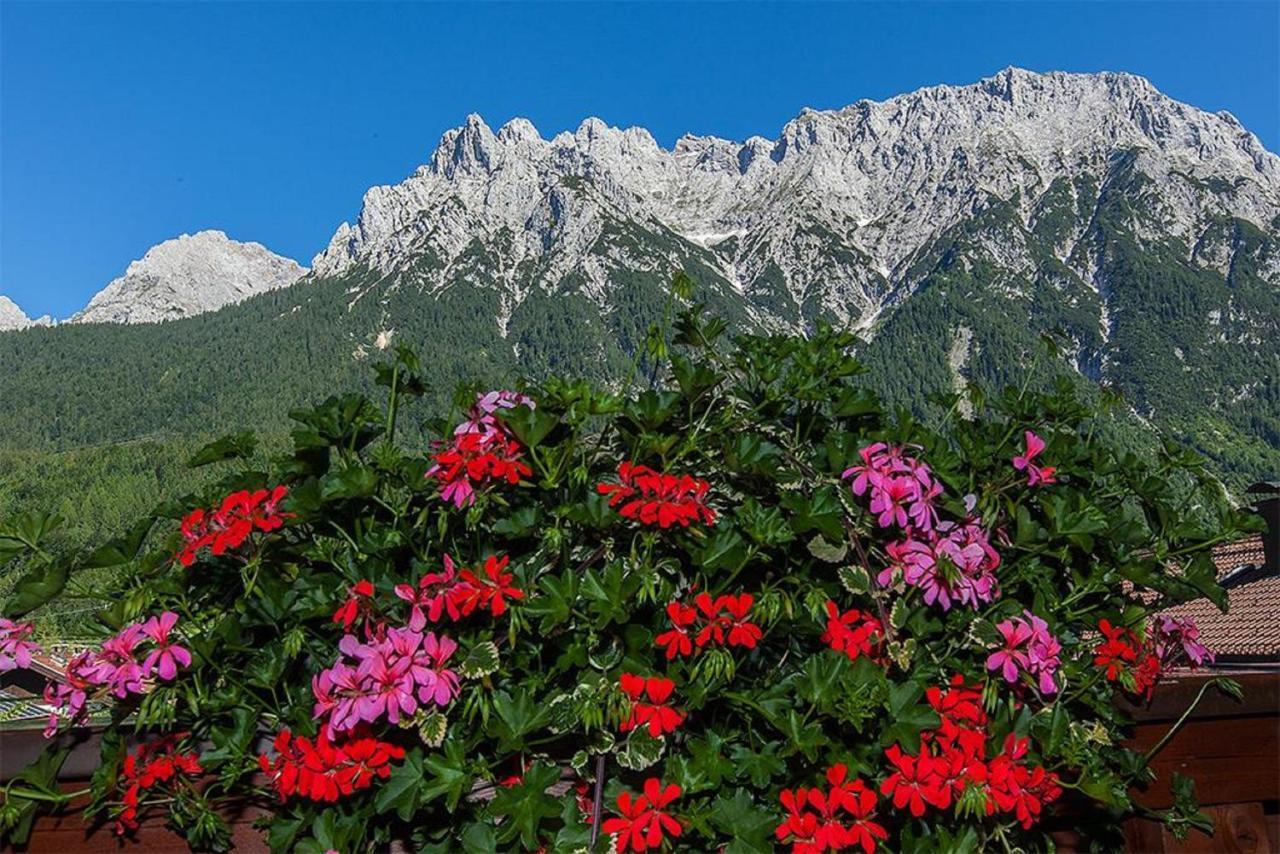 Landhaus Braun Daire Mittenwald Dış mekan fotoğraf