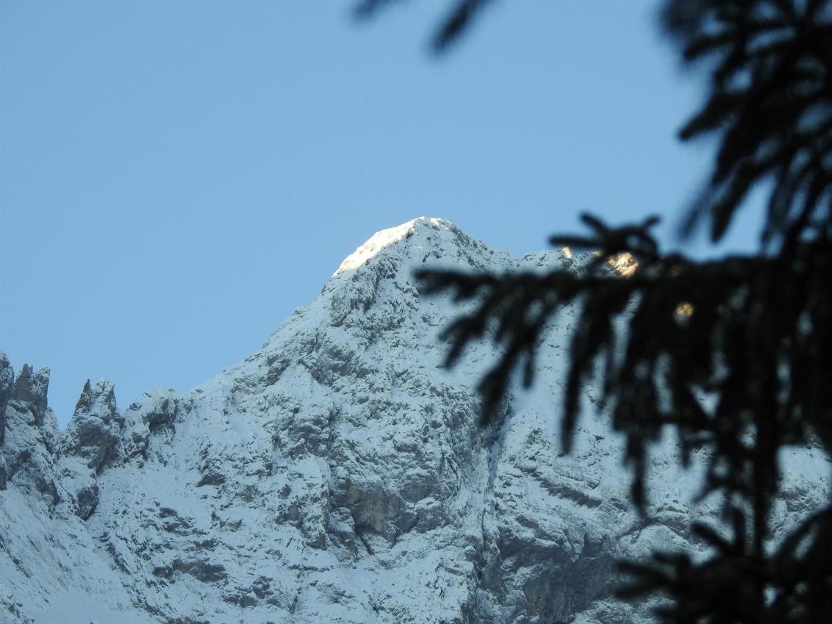 Landhaus Braun Daire Mittenwald Dış mekan fotoğraf